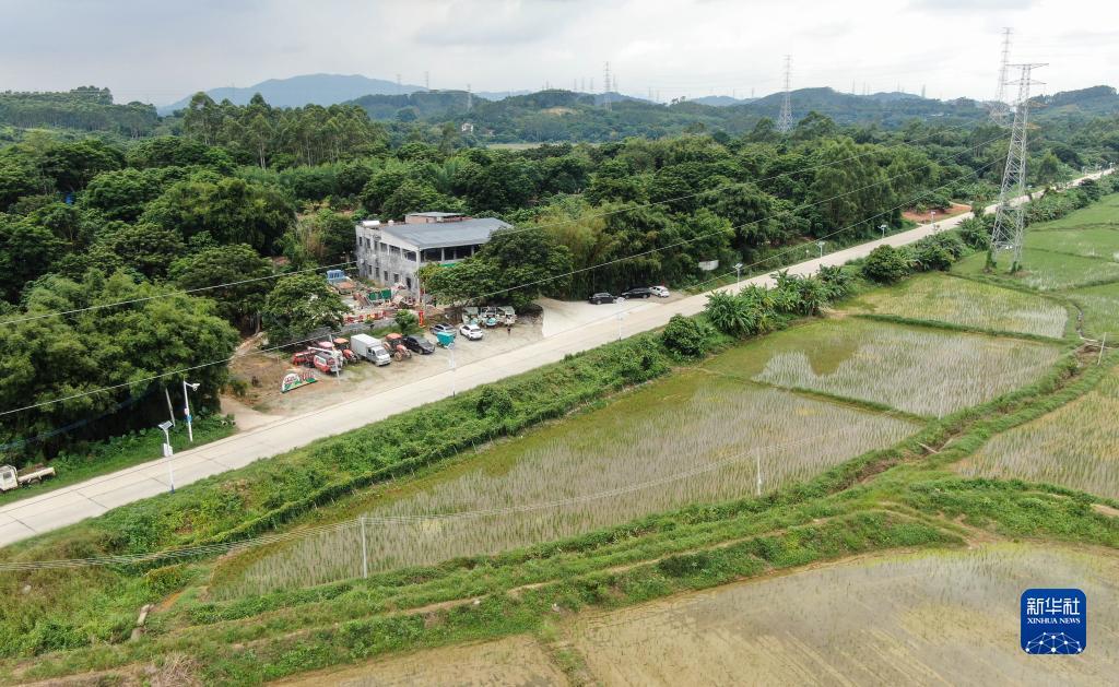 丽星邮轮优惠活动办理大厅